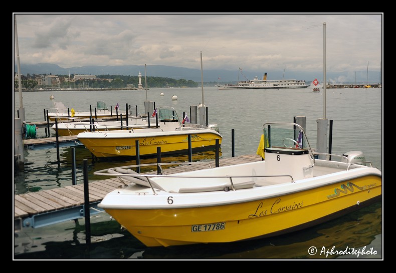 096 Le bateau de la CGN Rhône entrant dans la rade
